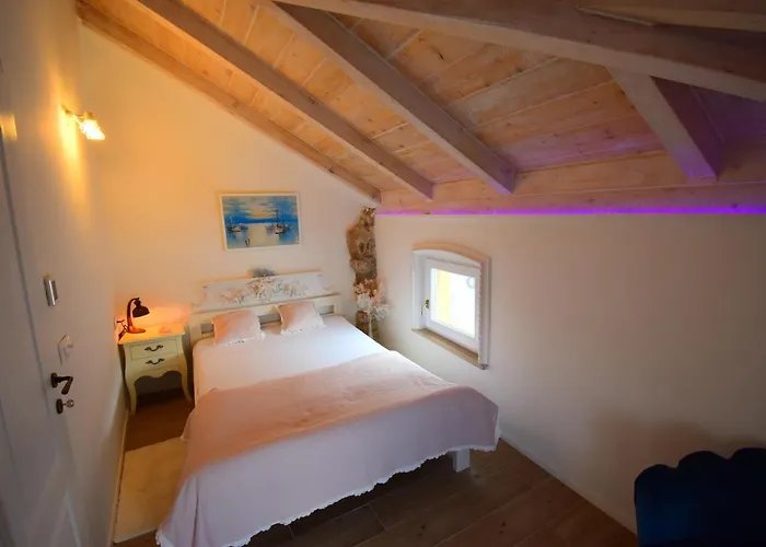 Captains * 바슈카